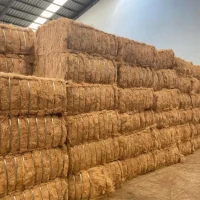 Zara Charcoal - Coconut Derivative Products (19)