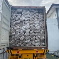 Zara Charcoal - Coconut Derivative Products (21)