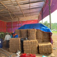 Zara Charcoal - Coconut Derivative Products (6)