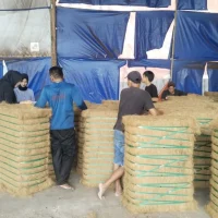 Zara Charcoal - Coconut Derivative Products (8)