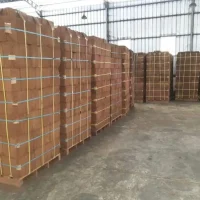 Zara Charcoal - Coconut Derivative Products (9)